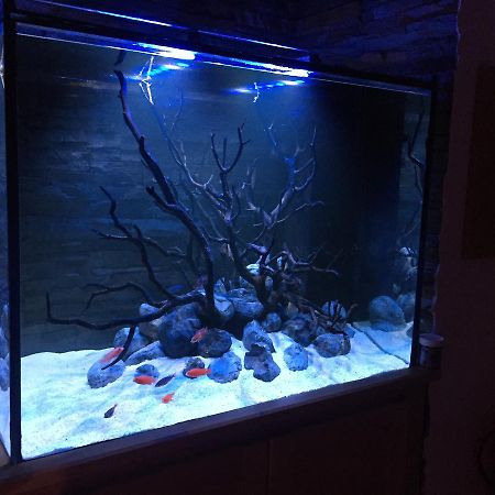 Aquarium House Apartment Sesimbra Ngoại thất bức ảnh