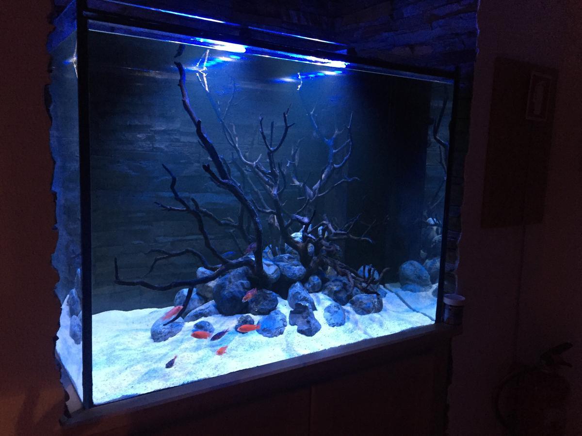 Aquarium House Apartment Sesimbra Ngoại thất bức ảnh